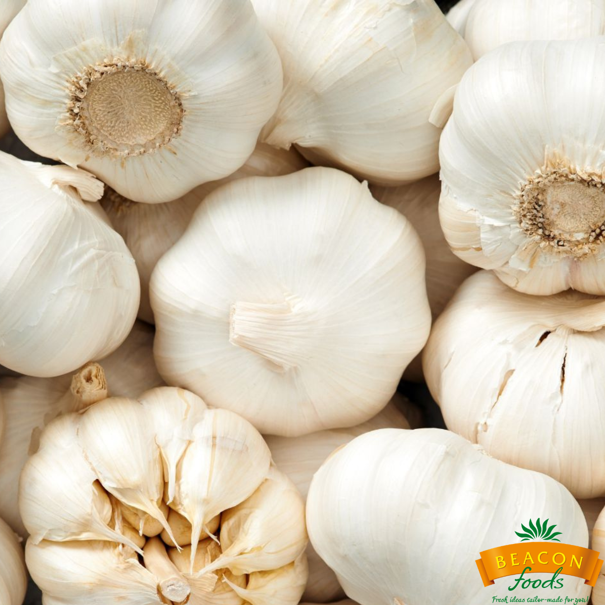 National Garlic Day