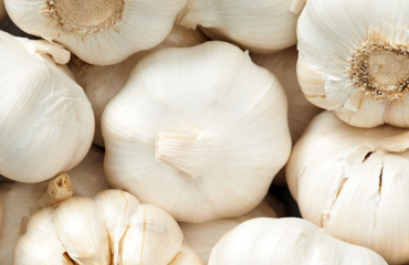 National Garlic Day